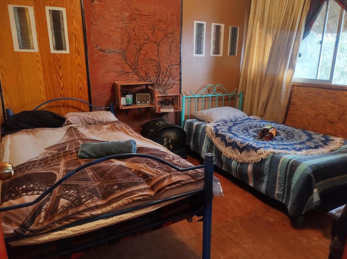 Nuevovalpo Hillside Homestay サンティアゴ エクステリア 写真