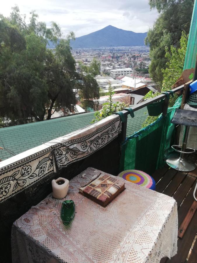 Nuevovalpo Hillside Homestay サンティアゴ エクステリア 写真