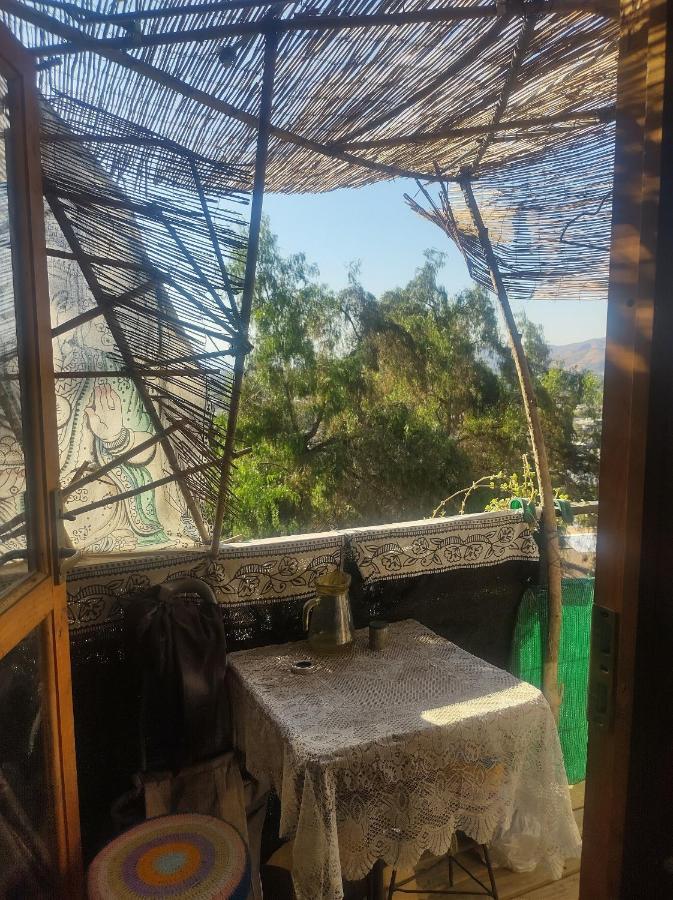 Nuevovalpo Hillside Homestay サンティアゴ エクステリア 写真