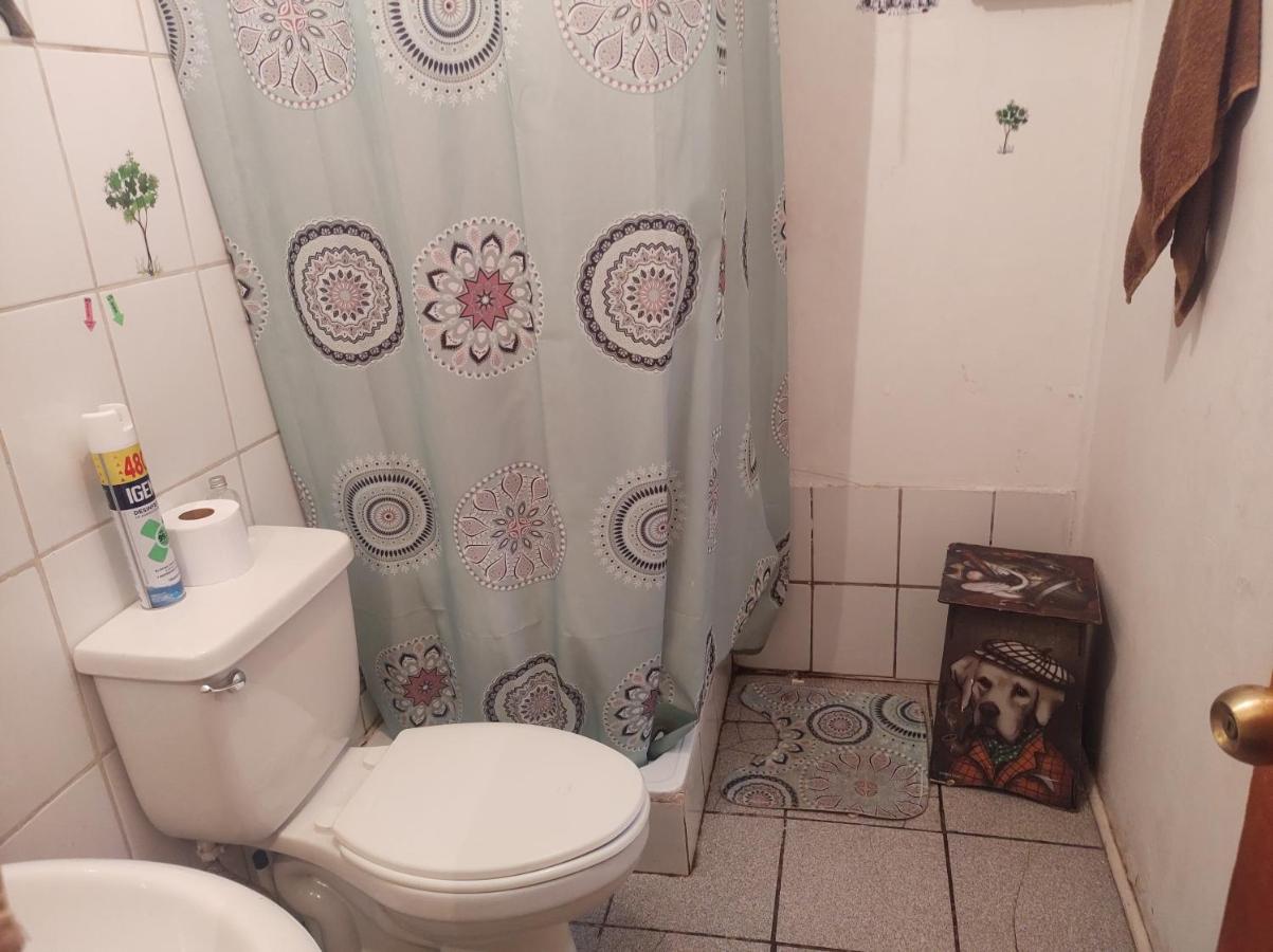 Nuevovalpo Hillside Homestay サンティアゴ エクステリア 写真