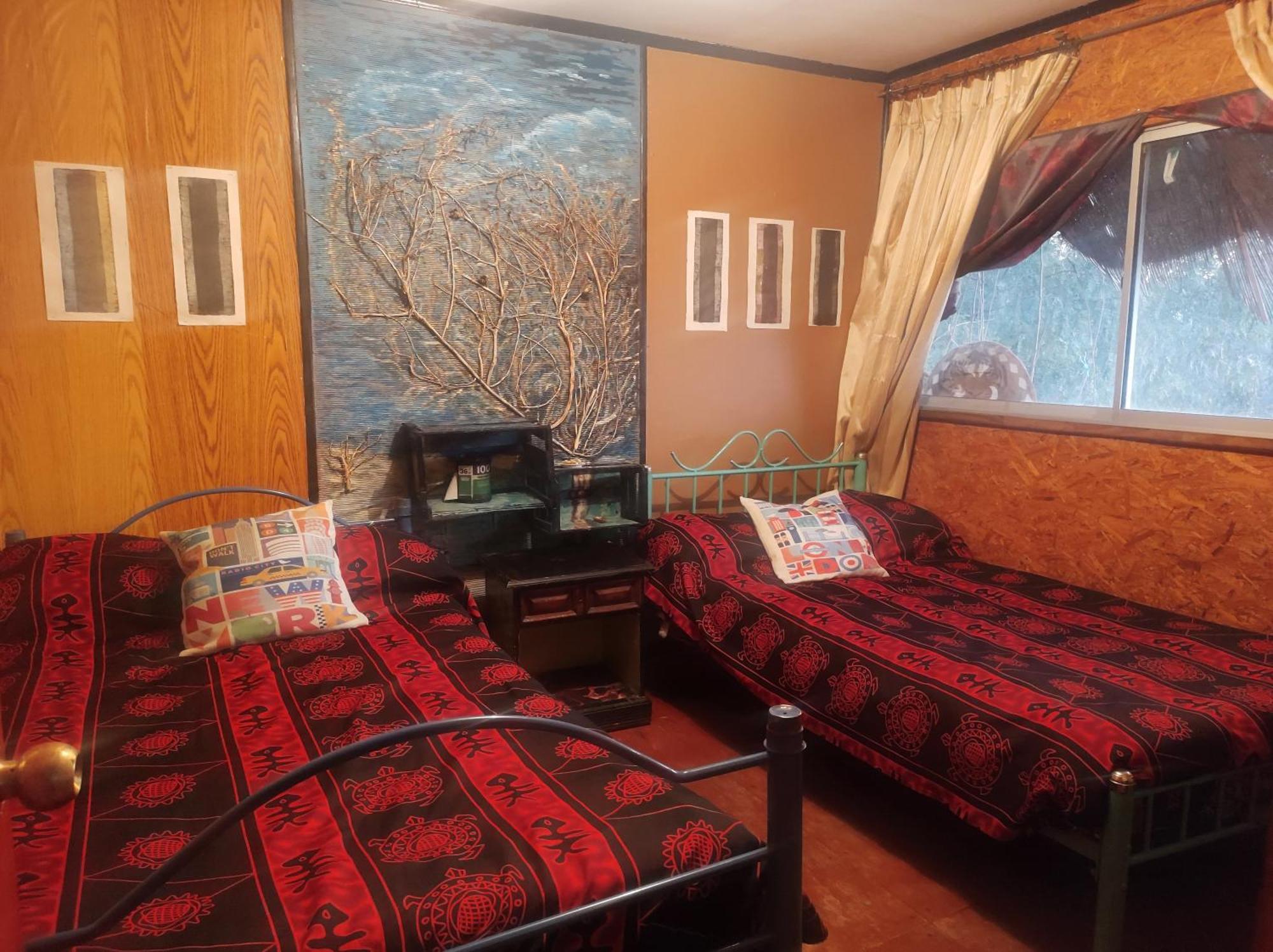 Nuevovalpo Hillside Homestay サンティアゴ エクステリア 写真